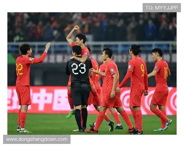 世界杯南非对阵韩国小组赛关键战全场回顾与赛况分析