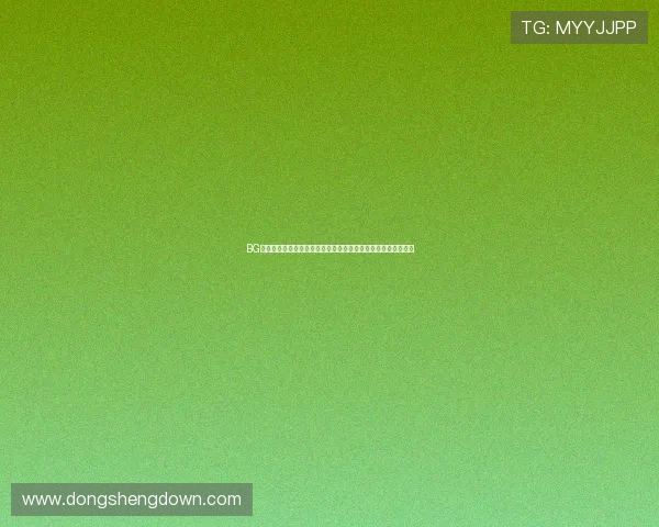 BG真人版世界杯赛前准备：球队训练动态与主教练战术布置全揭秘